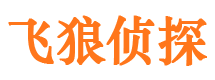 阳城市侦探公司